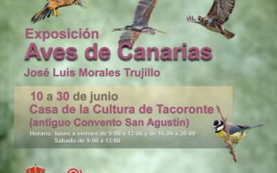 Exposición de aves canarias del fotográfo José Luis Morales trujillo